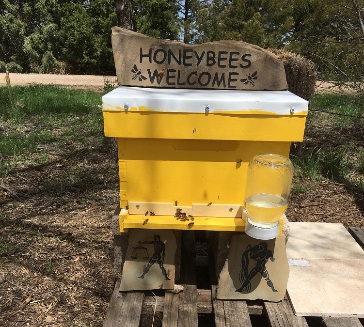 Langstroff Bee Hive